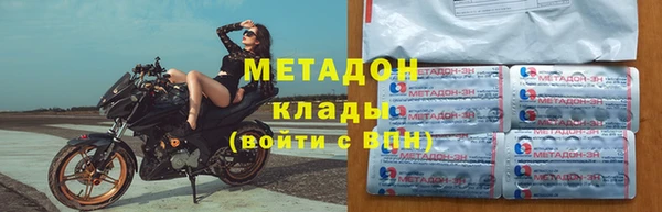 ГАЛЛЮЦИНОГЕННЫЕ ГРИБЫ Тайга