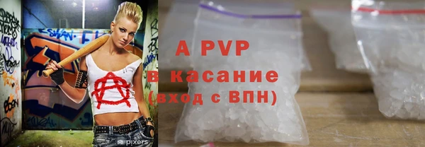 гашик Тавда