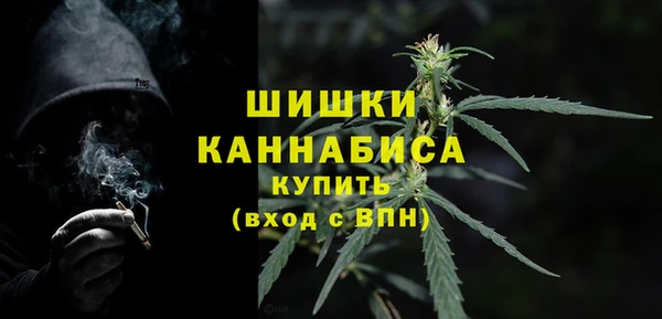 ГАЛЛЮЦИНОГЕННЫЕ ГРИБЫ Тайга