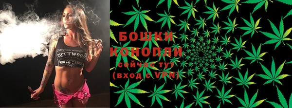 гашик Тавда