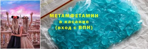 ГАЛЛЮЦИНОГЕННЫЕ ГРИБЫ Тайга