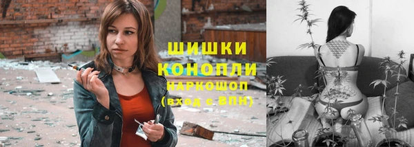гашик Тавда