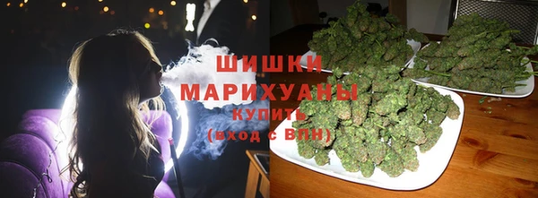 ГАЛЛЮЦИНОГЕННЫЕ ГРИБЫ Тайга