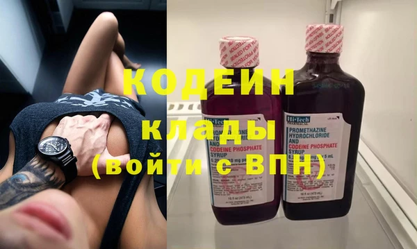 гашик Тавда