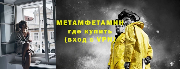 ГАЛЛЮЦИНОГЕННЫЕ ГРИБЫ Тайга