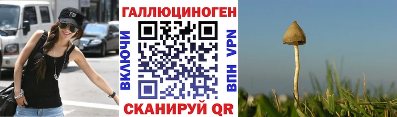 Псилоцибиновые грибы ЛСД  Купить закладки  Белоярский 